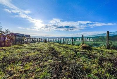 Teren intravilan 1438mp in Deva, situat pe Strada Iosif Vulcan. - 6