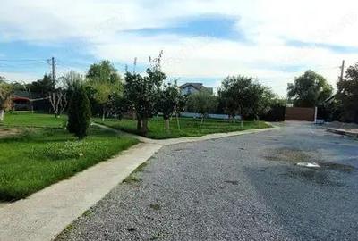 Casa Baldovinesti langa restaurant Casa cu stuf - 2