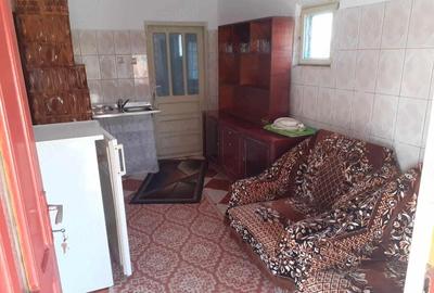 Casă cu 3 camere cu Teren 1600 Mp în Ionești - 1