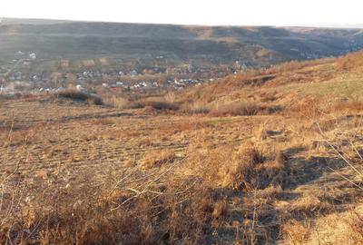 Spațiu comercial, în Viișoara - 2