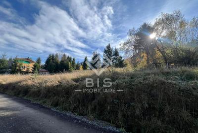 Teren de vanzare 12 ari - COLIBITA - 4