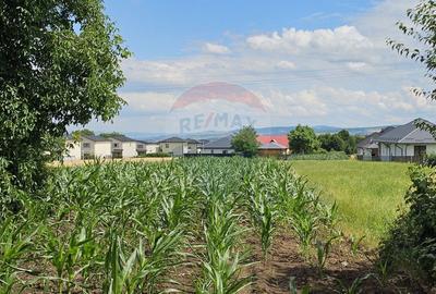 Casă individuală cu 6 camere cu Canalizare în Lisaura - 35