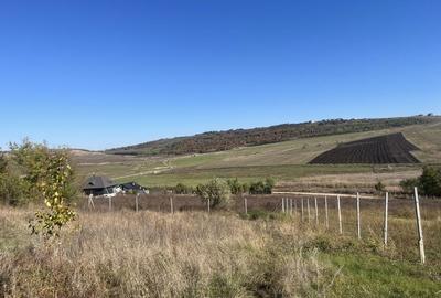 Teren de 1000 mp, în Central - 4