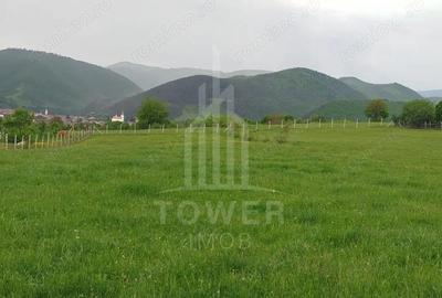 Teren de vinzare in Tropini Vechi - 3