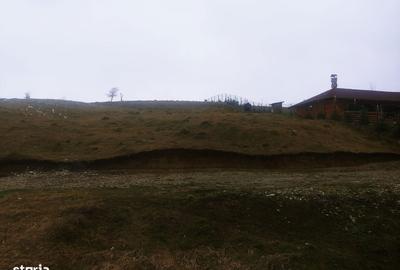 Spațiu comercial, în Paltin - 9