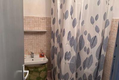 Apartament 4 camere micalaca - 2