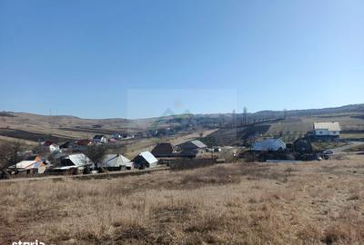 Spațiu comercial, în Oglinzi - 7