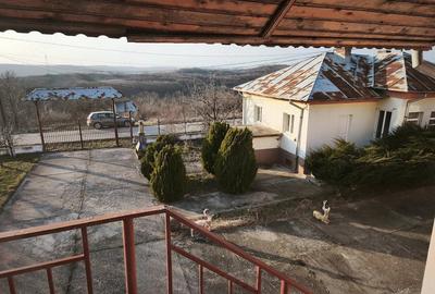 Casă cu 15 camere cu Teren 6500 Mp în Sutești - 10