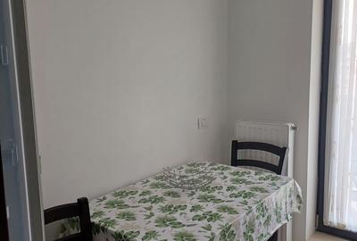 Plaza Romania - Exigent Plaza Faza 3 - Garsonieră confort 1 Lux - BLOC NOU - 8