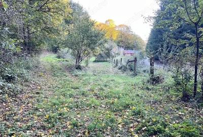 Teren de 2482 mp, în Bratca - 4