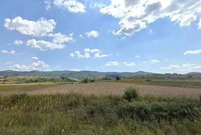 Teren de 3700 mp, în Dalboșeț - 6