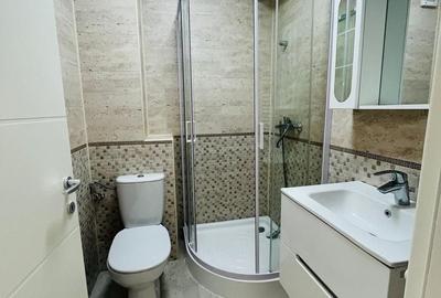 Apartament cu 3 camere decomandat, mobilat în Theodor Pallady - 14