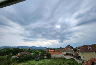 Apartament cu 2 camere decomandat în Caransebeș - 4
