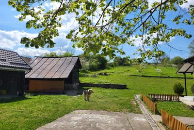 Casă cu 4 camere în Strejești - 1