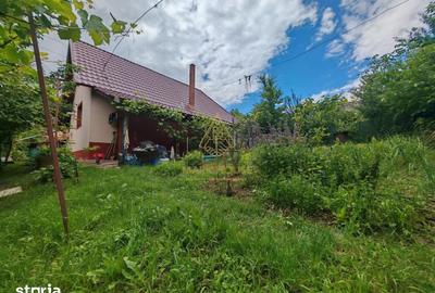 Casă cu 2 camere cu Teren 600 Mp în Măgura - 1