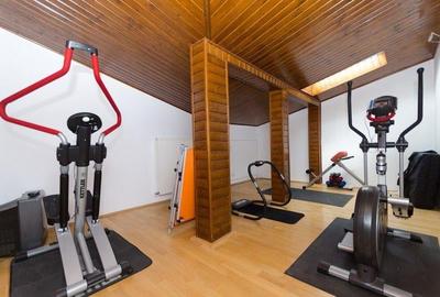 Vila de vanzare in Ranca, la baza partiei Papusa  sauna, jacuzzi - 11