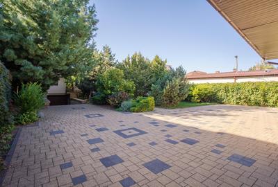 Vila Grandioasa 650 mp+Spatiu Comercial 110 mp Tatarasi Teren 968 mp - 18