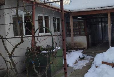 Casă cu Teren 1290 Mp în Măureni - 3