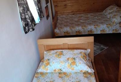 Casă cu 3 camere în Porumbacu de Sus - 10