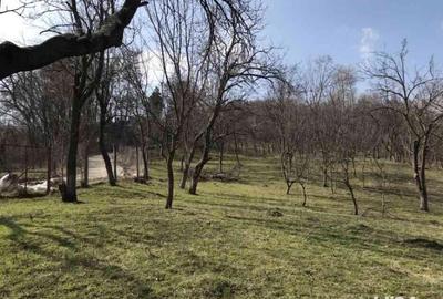 Teren de 1660 mp, în Teișani - 3