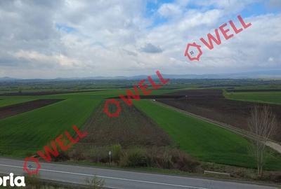 Teren de 5000 mp, în Ozun - 6