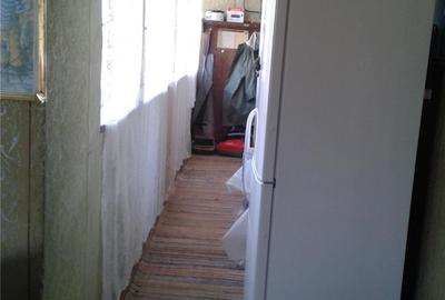 Casă cu 3 camere cu Teren 10000 Mp în Gherteniș - 18