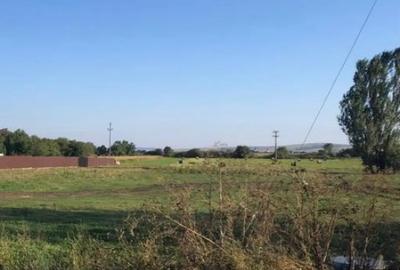 Teren de 12200 mp, în Rădăuți - 1