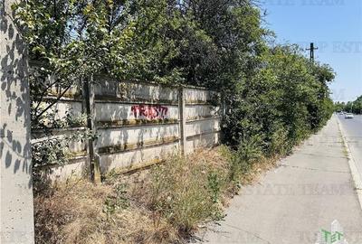 TEREN STRADAL GIULESTI, 50000 mp, la asfalt, intravilan, toate utilitatile, pent - 3