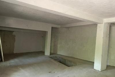 Vilă 2 corpuri – construcție 2012 + casă veche interbelică, curte generoasă - 12