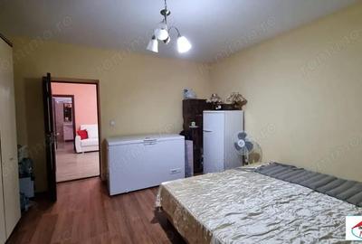 Casă cu 2 camere în Micula - 1
