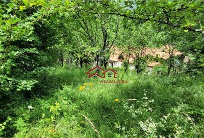 Teren Sacaramb,la20 km deDeva,jud.Hunedoara,comision0 - 7