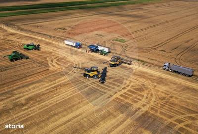 Spațiu comercial, în Armeni - 13