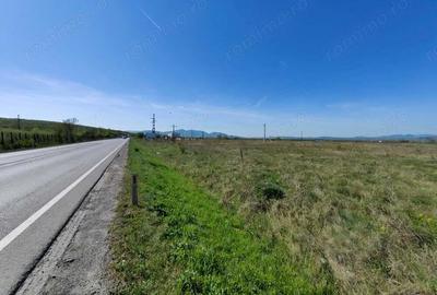 Teren intravilan 8690mp in Orasul Simeria (spre Localitatea Santuhalm) FS 95,41m la Sosea... - 4