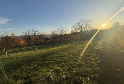 Teren de vanzare Unguras - 10