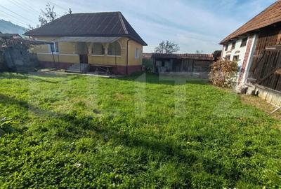 Casă cu 2 camere cu Teren 2100 Mp în Lupoaia - 4