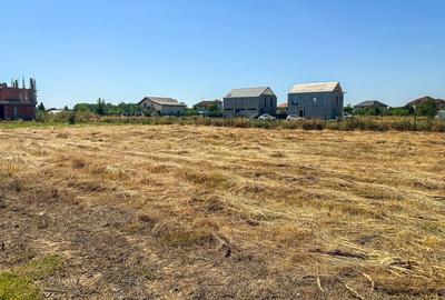 Teren 1116 mp gulia Eden Forest - 2