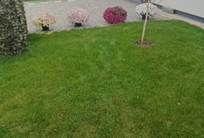 Casa Parter!  3 dorm.+2 bai+2 parcari ! Aproape de centura, Domnesti ! - 13