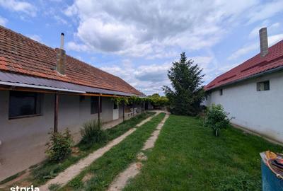 Casă cu 4 camere cu Teren 1098 Mp în Chișineu-Criș - 1