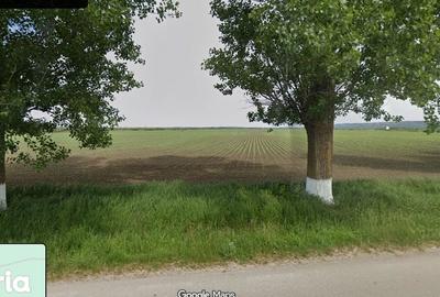 Teren de 450000 mp, în Probota