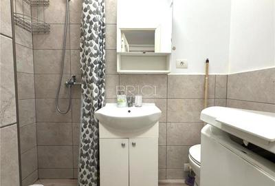 Garsonieră decomandată în Noua - 4