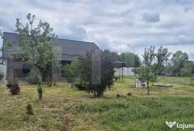 Casă cu 3 camere cu Teren 2918 Mp în Vetiș - 1
