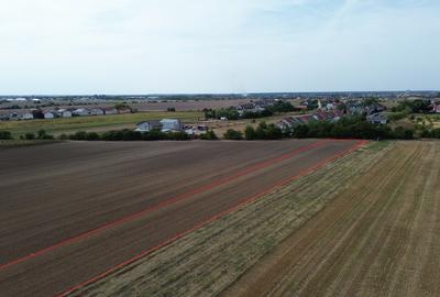 Darza, teren intravilan 6.000 mp, 13 euro/mp deal pentru case, ferma, productie - 5