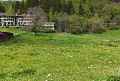 Teren Construcții intravilan de 10000 mp, în Sătic - 2