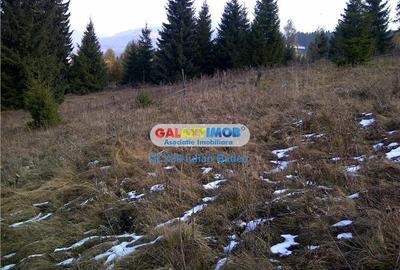 Teren pentru Complex Turistic - 12 730 mp  - Vatra Dornei - 6