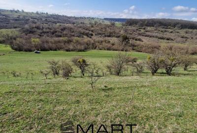 Teren extravilan 16420 mp | Sibiu - Daia - 1