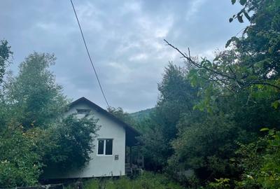Casa de vacanta - 3