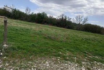 TEREN INTRAVILAN DE VANZARE,-520 mp,-CARANSEBE?\PIPIRIG... - 5