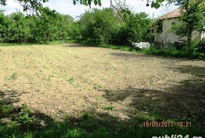Teren de 1270 mp, în Drajna - 2