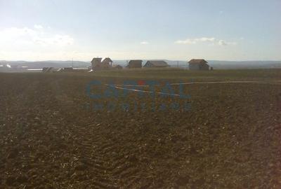 Teren intravilan 3935 mp Mures - 2