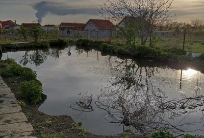 Casa masiva nemtesca cu teren Giarmata - 2